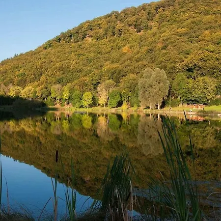 In With Swimming Pool * Rieden (Mayen-Koblenz)